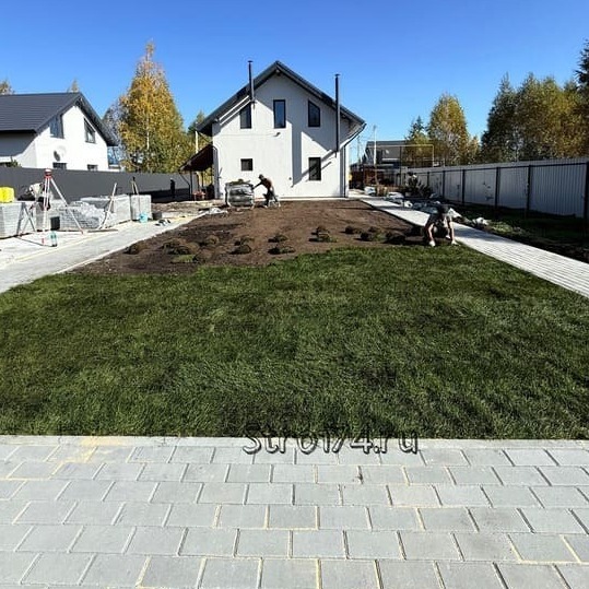 Газон и озеленение территории в Челябинске Газон и озеленение территории